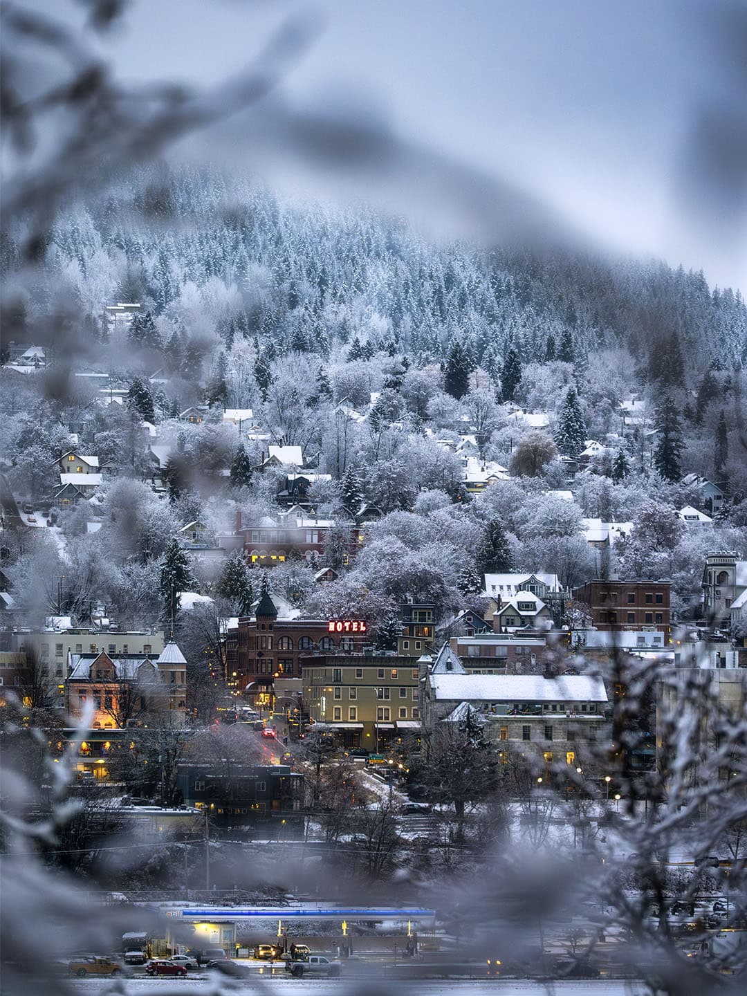 Snow-covered Nelson, British Columbia viewed through soft foreground branches.