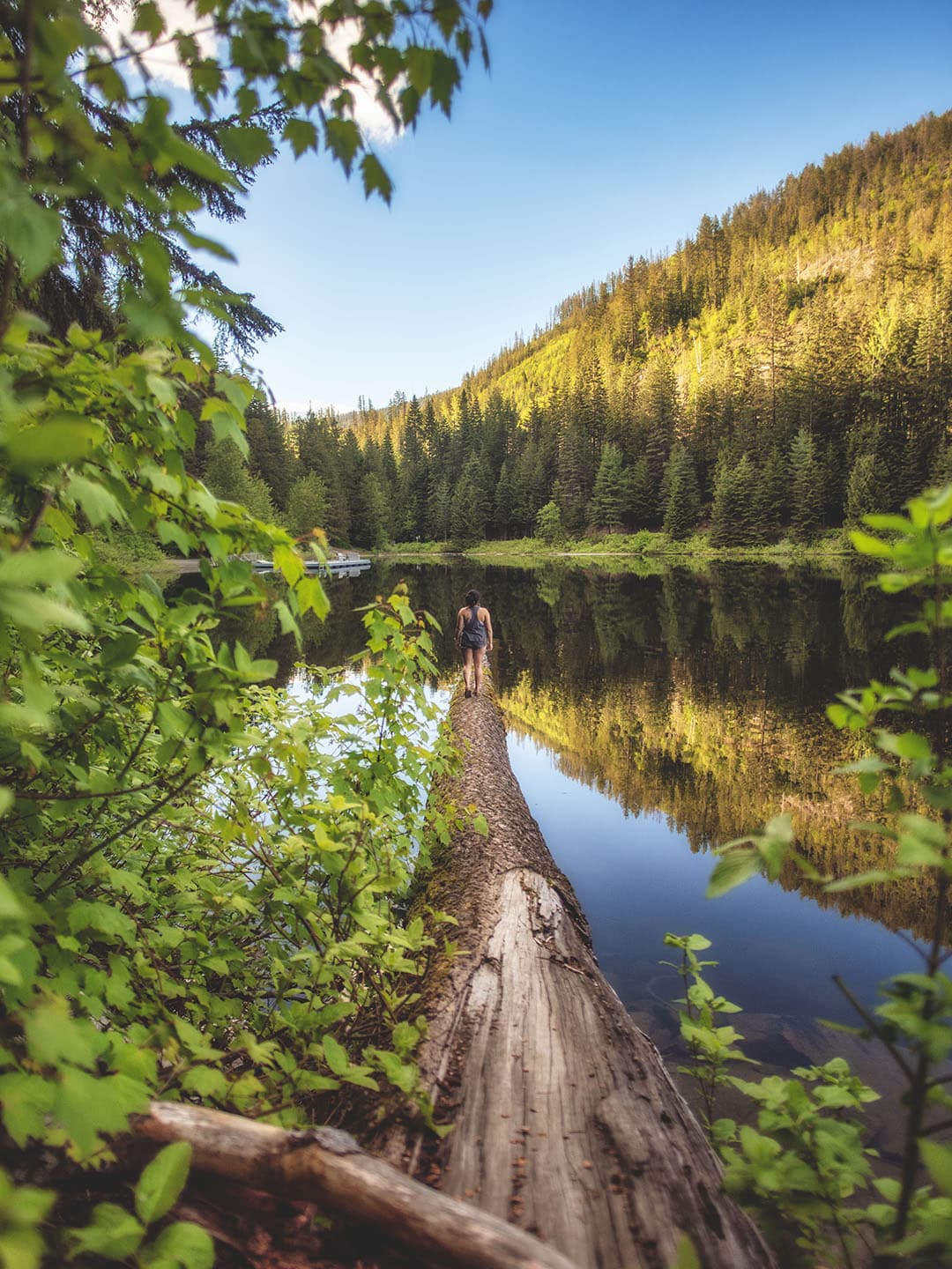 A person walking across a fallen tree over a calm Kootenay lake surrounded by forest.